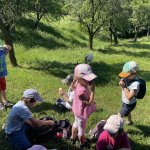 phoca_thumb_m_vlet 16 Fotogalerie